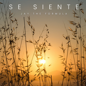 Se Siente by Jay The Formula