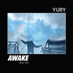 Обкладинка: Awake