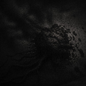 jusqu’à la mort by La cagoule