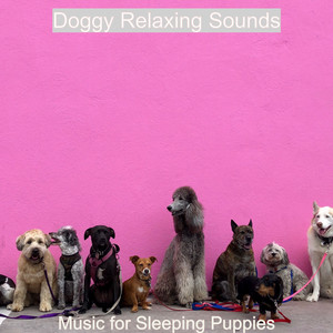 Music for Sleeping Puppies album