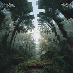 Echoes Forest by Mantra Machine