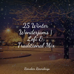 25 Winter Wonderjams | Lofi & Traditional Mix album