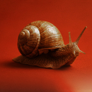Por acaso by A Última Theoria