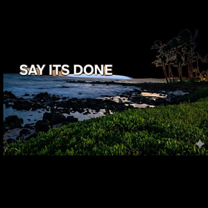 Say It's Done by Phyve Mo