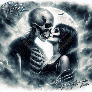 Stray - Ti cercherò tra le stelle