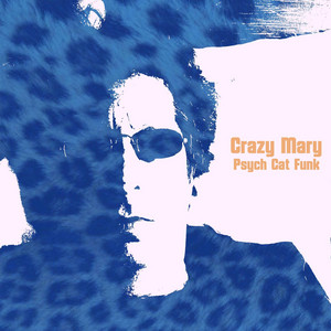 Psych Cat Funk - Single by Crazy Mary | Spotify