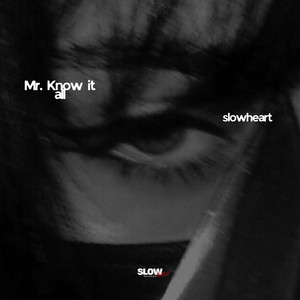 Mr. Know It All - Acoustic by slowheart