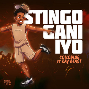 Stingo Gani Iyo by Collo Blue, Ray Beast