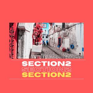 Section2 by Lucia Medici