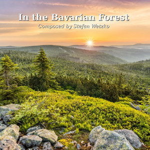 In the Bavarian Forest by Stefan Wetzko