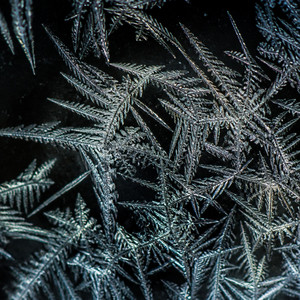 Frost Archive by Rauk