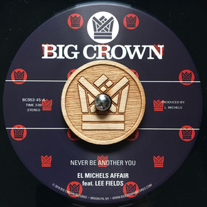 Never Be Another You - Reggae Remix by El Michels Affair, Lee Fields