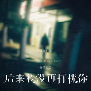 后来我没再打扰你 (深情男版伴奏)