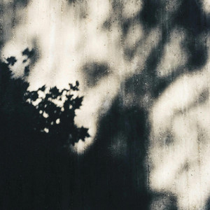 Shadows by Katy V. Books