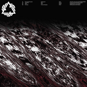 Nerv by Translate