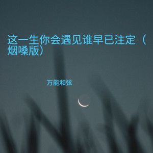 这一生你会遇见谁早已注定 - 烟嗓版 by 万能和弦