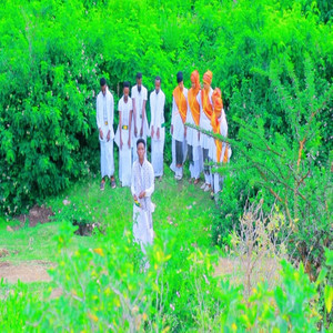 Abdiwali Hassan - Afka