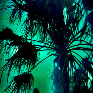 SEAWEED by gdsully