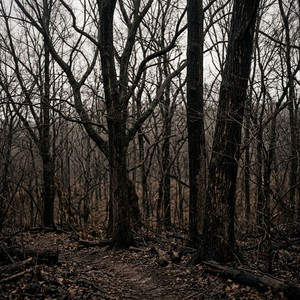 Gravity Echoes by Oravel WAAVES