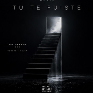 tu te fuiste by nerix