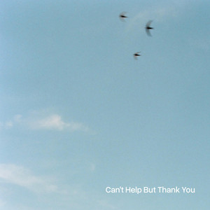 Can't Help But Thank You by George Koehl