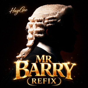 Mr Barry (Refix) by HayGee