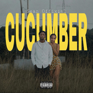 Cucumber by Sean offixial