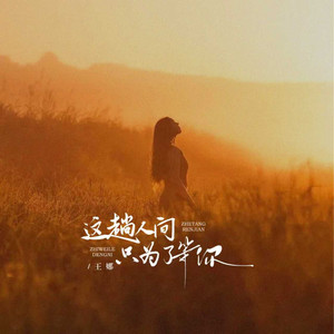 这趟人间只为了等你 - Dj阿尼版 by 王娜