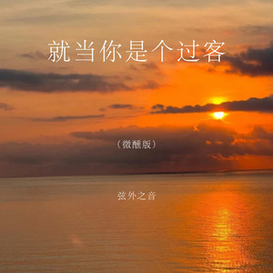 就当你是个过客 - 微醺版 by 弦外之音