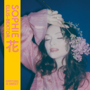 Portada de Breaking the Circle