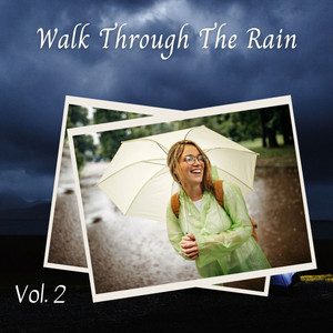 Walk Through The Rain Vol. 2 album