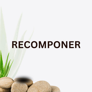 Recomponer by Voltio23
