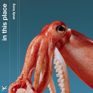 In This Place by Andy Korg