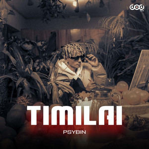 Psybin - Timilai