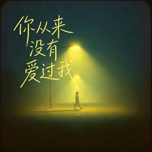 励明 & 周小冉 - 你从来没有爱过我 (男女合唱版)