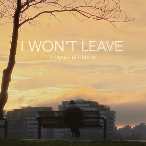 I won't leave - Radio Edit by Richard Neumann