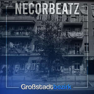 Großstadtbezirk