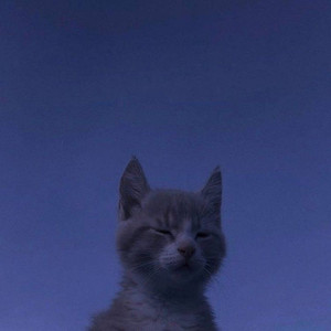 An Italian Magician Be Like (Slowed + Reverb) by Demise