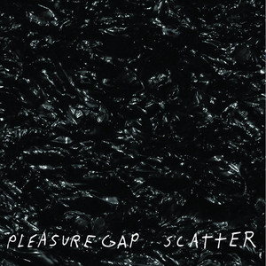 Pleasure Gap poster