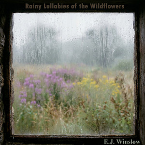 The Weeping Window by E.J. Winslow
