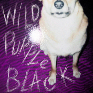 Wild Purple Black