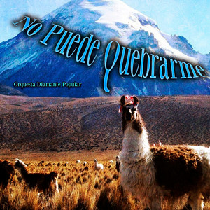 No Puede Quebrarme by Orquesta Diamante Popular