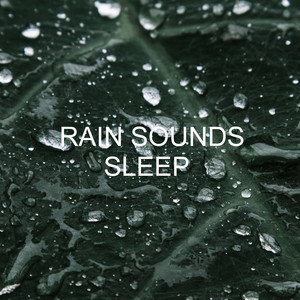 Rain Sounds Sleep album