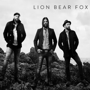 Make Damn Sure by Lion Bear Fox