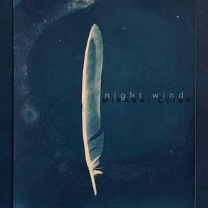 Night Wind by Mirabai Ceiba