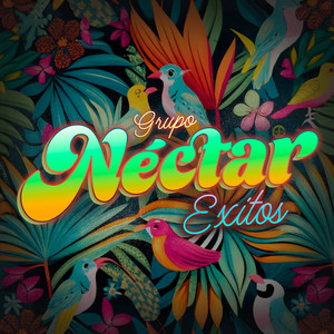 Grupo Nectar - Pecadora