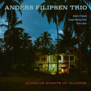 Names Gone — Anders Filipsen Trio