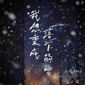 我想变成落下的雪 by 王贺Ares, 袁小葳