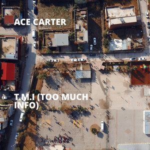 T.M.I (Too Much Info) by Ace Carter