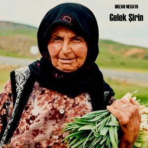 Hozan Necato - Gelek Şirin